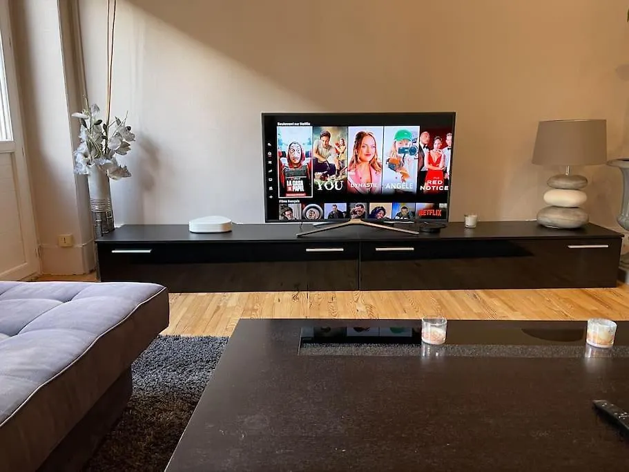 Le Fauriel - Fibre - Netflix/Disney+/Prime Saint-Etienne  France