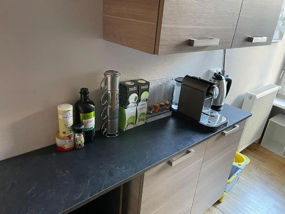 Apartment Le Fauriel - Fibre - Netflix/Disney+/Prime Saint-Etienne  France
